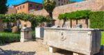 Palazzo Massimo and Diocletian's Baths | Private Rome Tour
