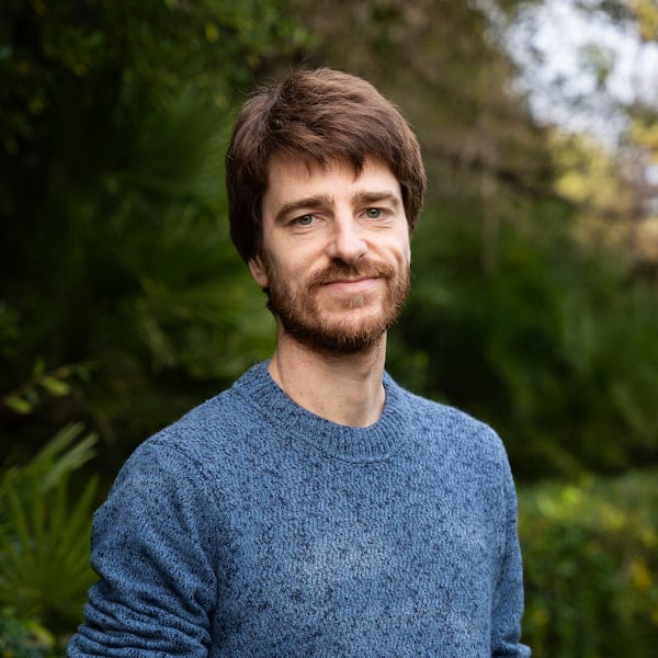 Marco Perone - Developer