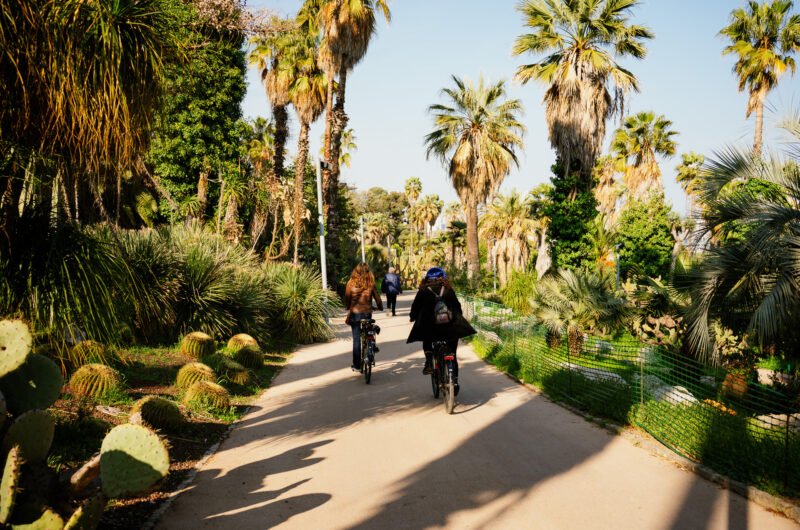 Barcelona tour on e-bikes of Montjuic