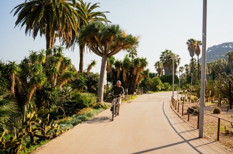 Barcelona tour on e-bikes of Montjuic